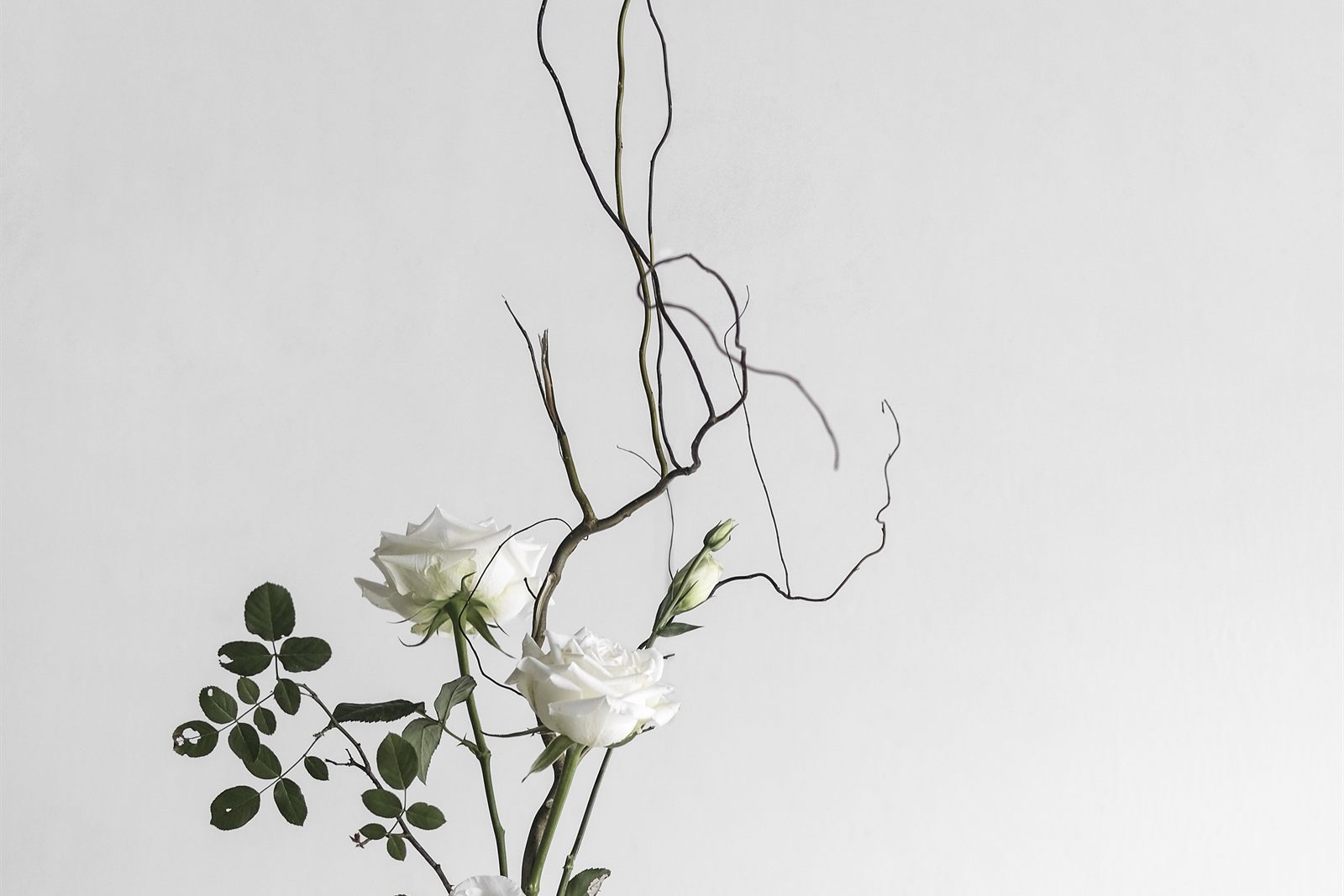 Complémentarité des méthodes : bouquet de fleurs symbolisant l'articulation entre psychothérapie multi-approches (analyse psycho-organique, hypnose ericksonienne, thérapie orientée solutions) et sophrologie certifiée RNCP chez Anaïs Leneau